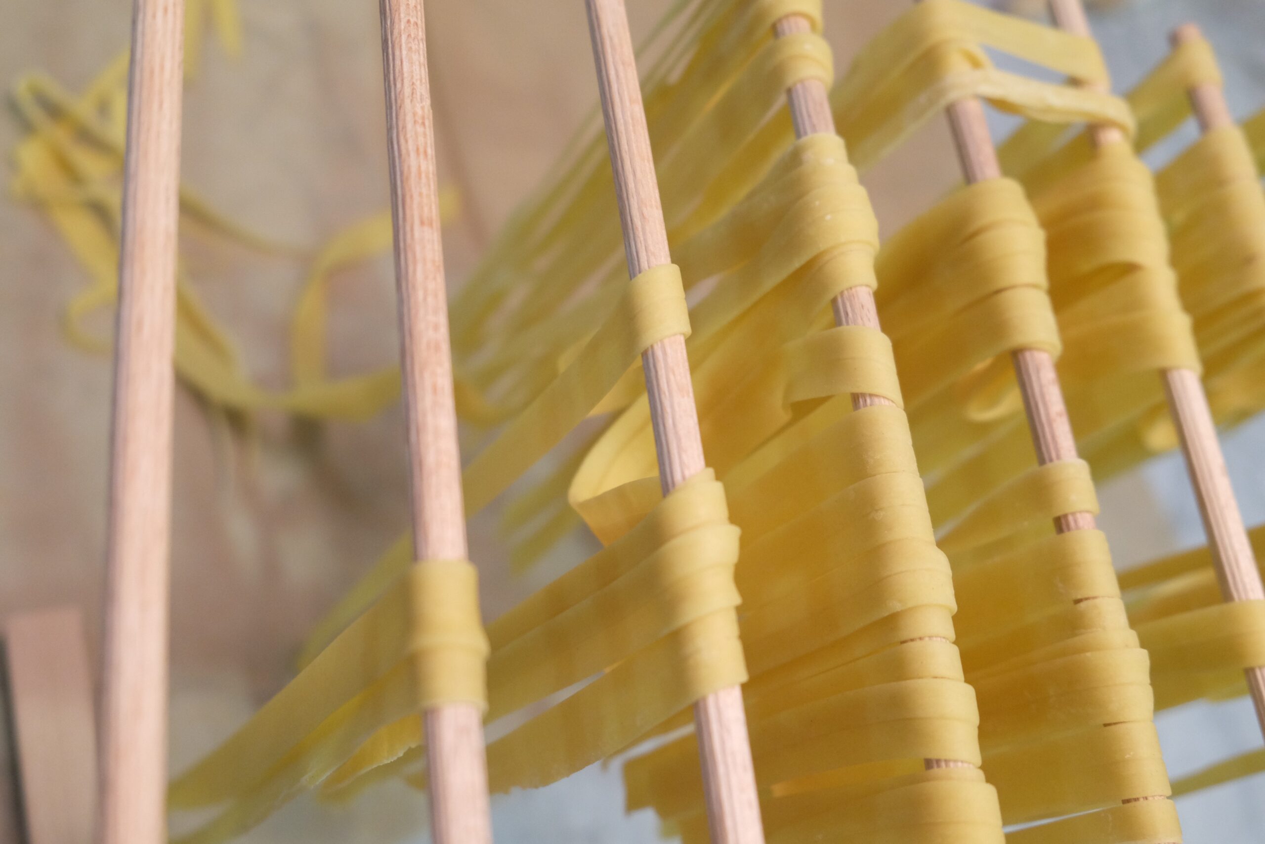 fresh pasta