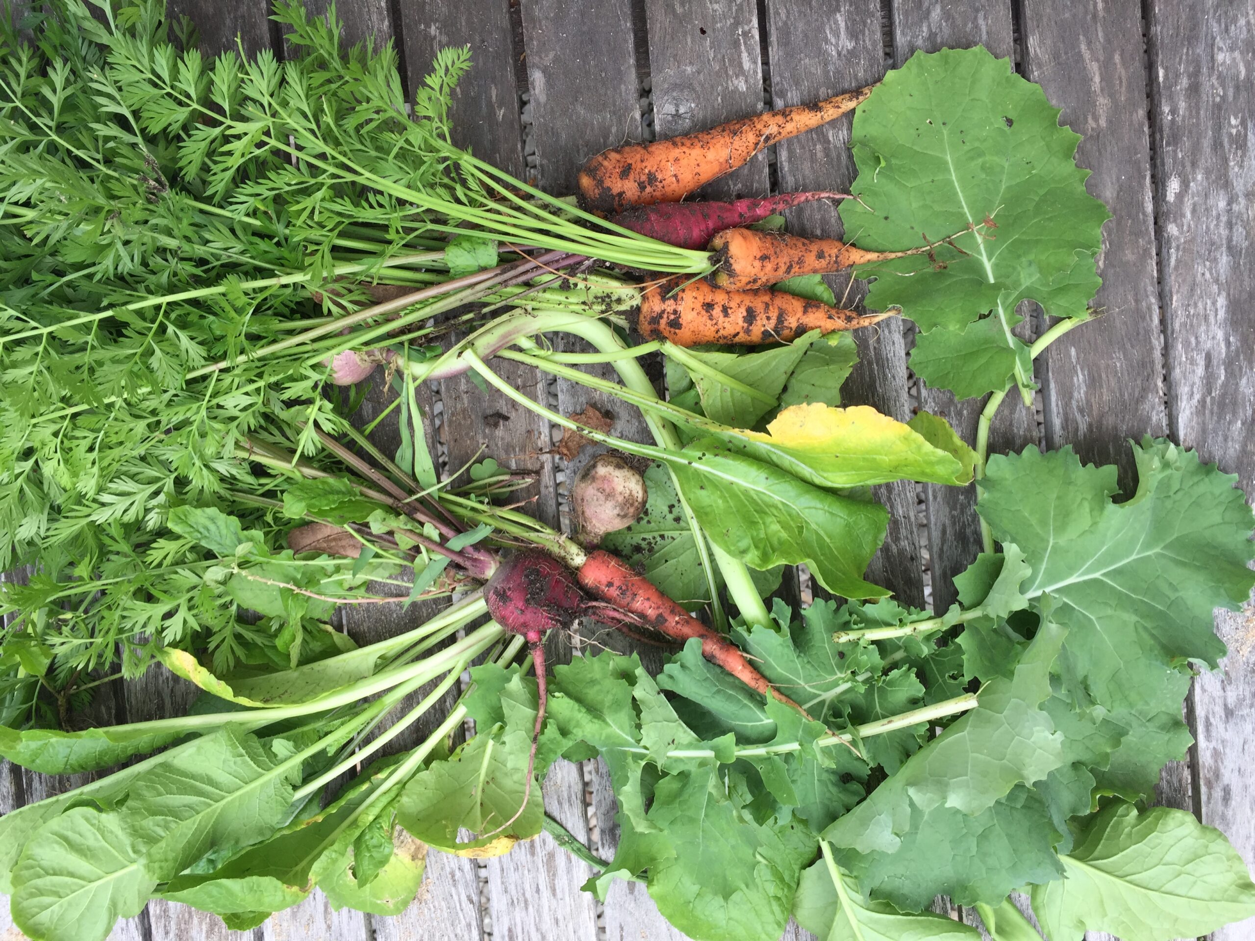 waygu + homegrown root vegetable hash