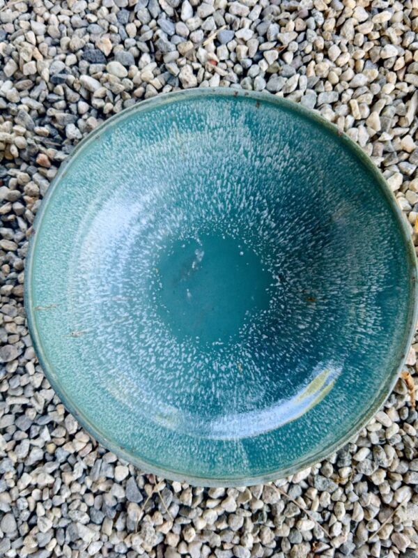 BIOLUMBOALS5