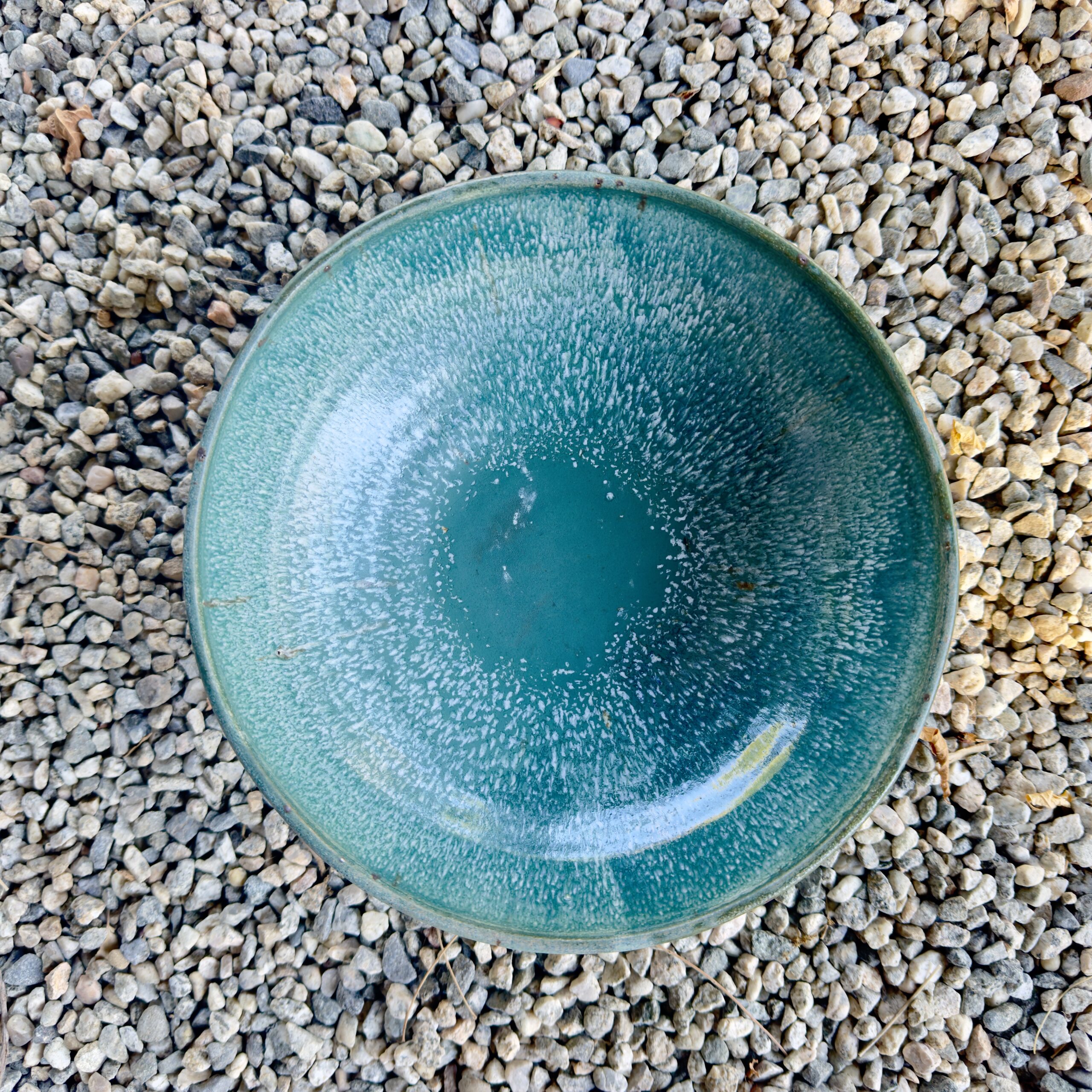BIOLUMBOALS5 BIOLUMBOALS5